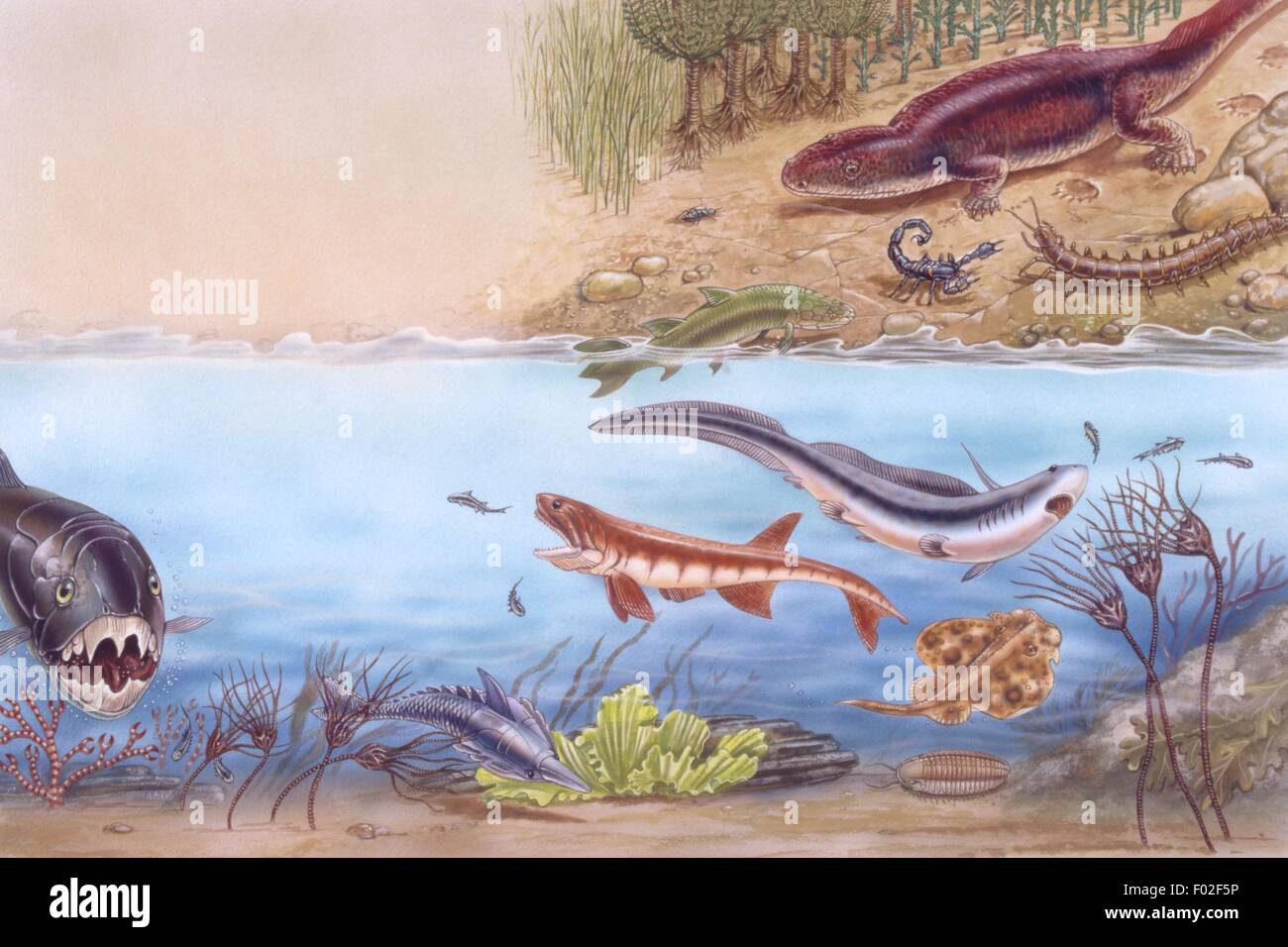 Palaeozoology - Devon Periode - Marine Umwelt - Kunstwerk von Robin Carter Stockfoto