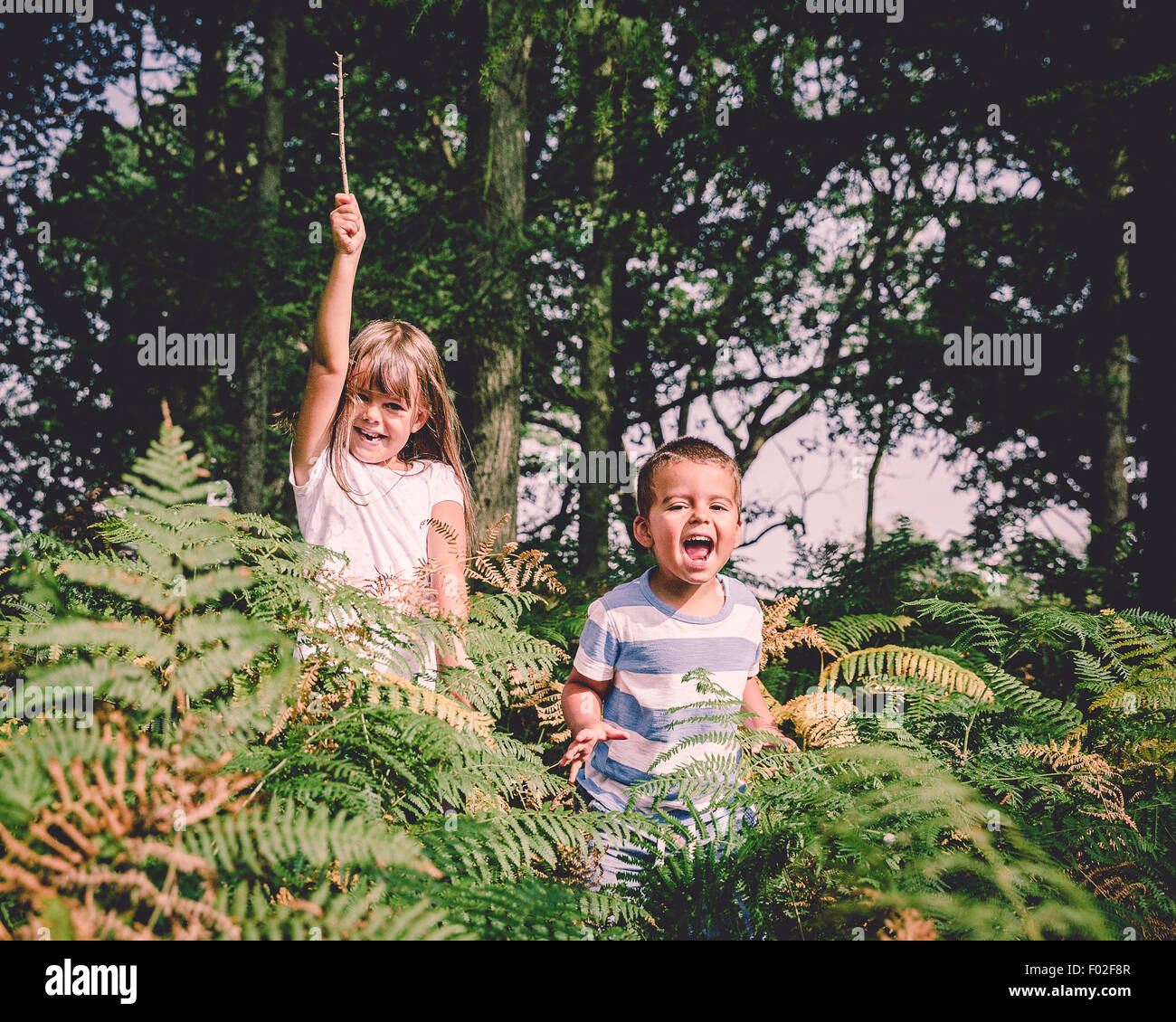 Zwei glückliche Kinder springen von hinter der Farne im Wald Stockfoto