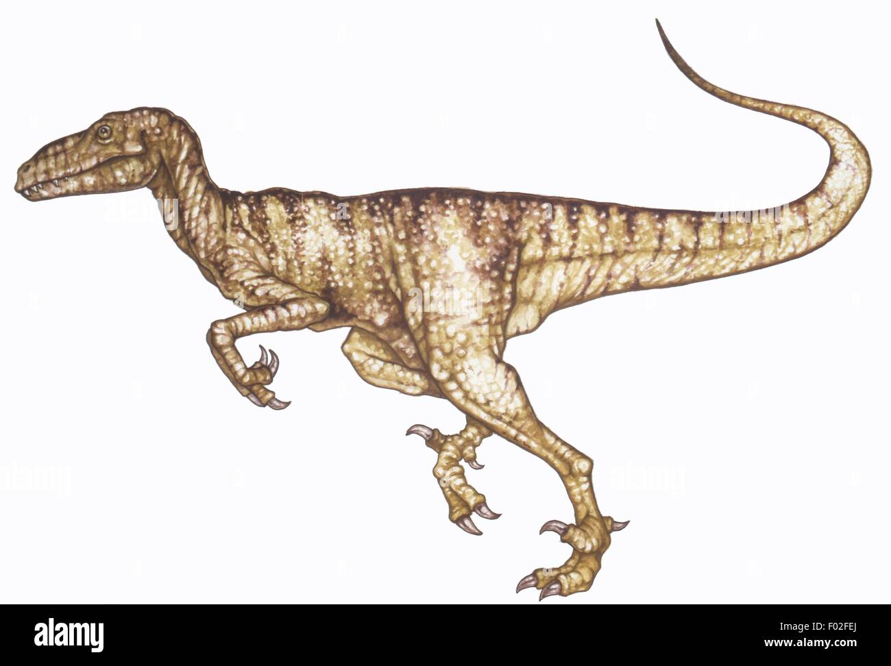 Palaeozoology - Trias/Kreide-Periode - Dinosaurier - Theropode - Kunstwerk von Jeremy Simmonds Stockfoto