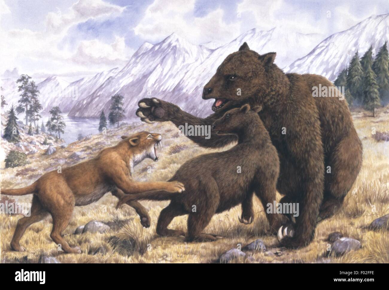 Palaeozoology - Pleistocene Periode - ausgestorbener Säugetiere - Megatheroids - A Megatherium schützt sein Kalb von feline Angriffe - Kunstwerk von Peter Scott Stockfoto