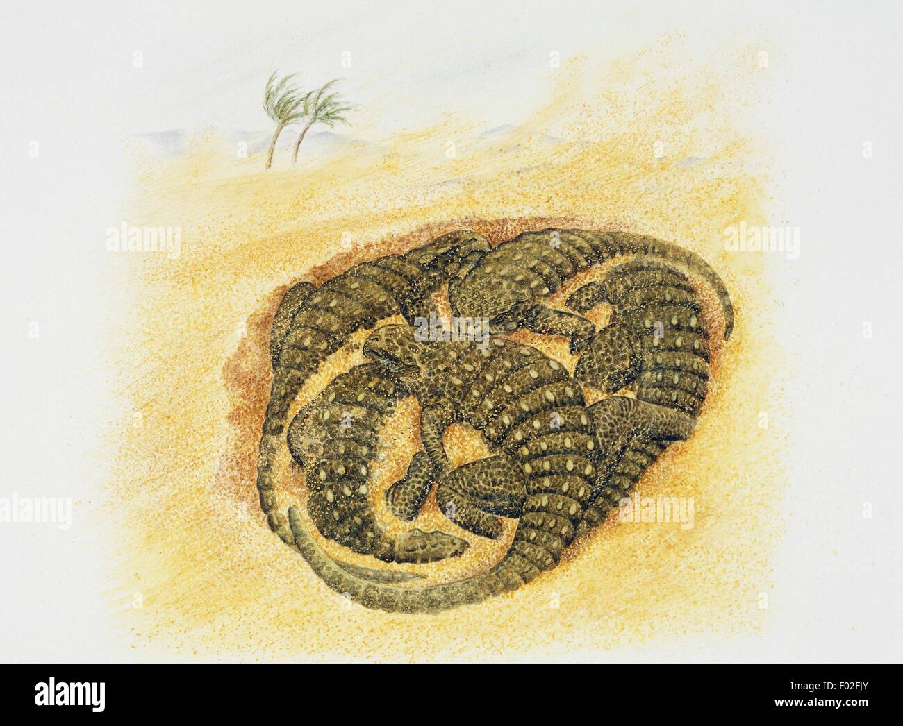 Überreste von fünf Baby Pinacosaurus, Ankylosauridae, von Sand bedeckt. Artwork von Wayne Ford. Stockfoto