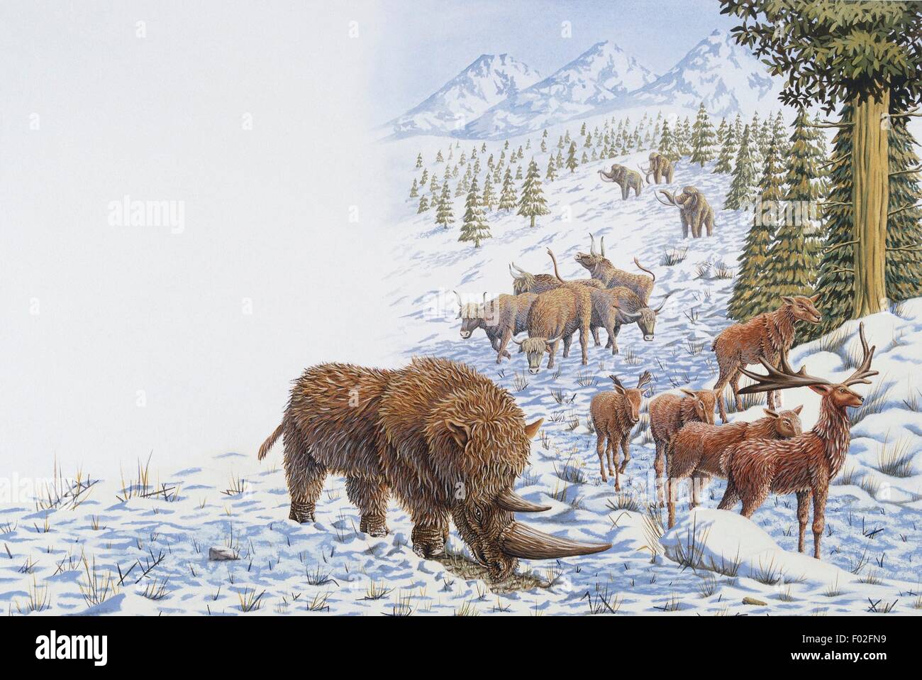Tiere der Eiszeit. Artwork von Mark Stewart. Stockfoto