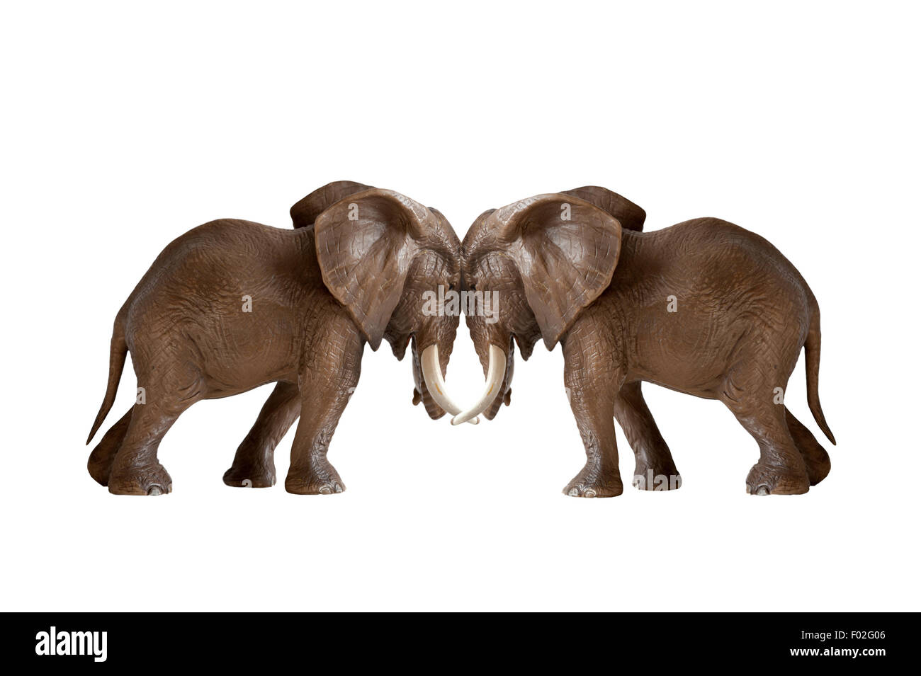 Test der Stärke Konzept Elefanten drängen gegeneinander isolierten auf weißen Hintergrund Stockfoto
