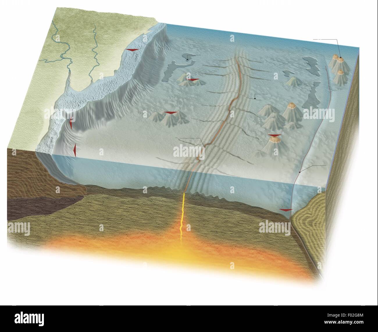 Geologie - Ozeane und im Zusammenhang mit ozeanische und kontinentale Kruste und des oberen Erdmantels. Farbe Diagramm Stockfoto
