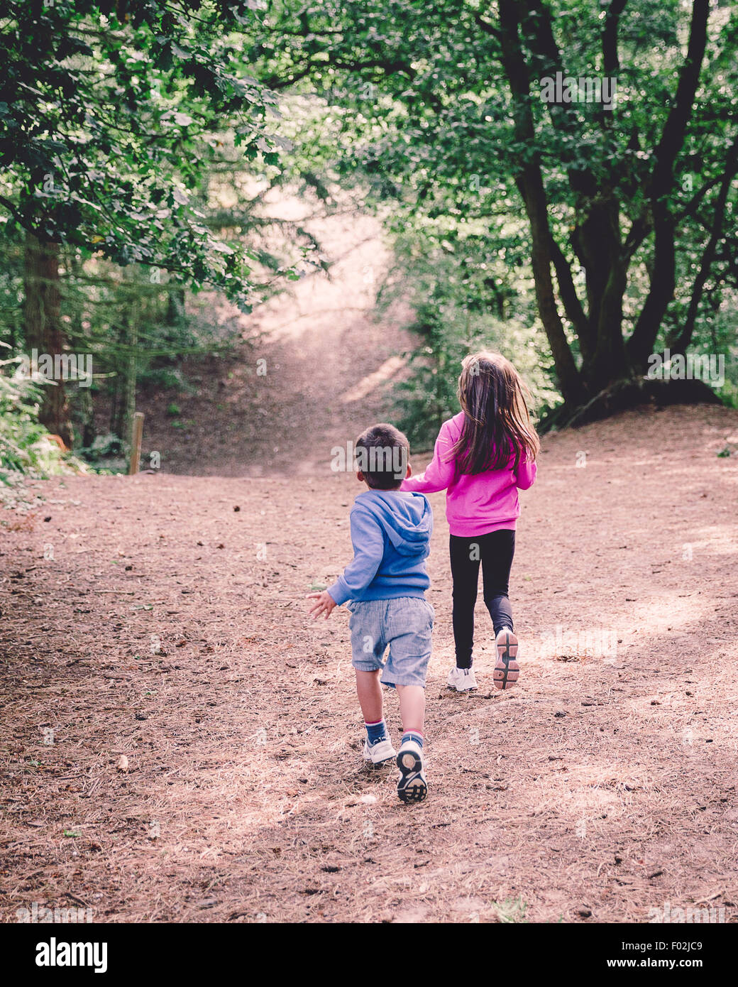 Rückansicht der beiden Kinder im Wald laufen Stockfoto