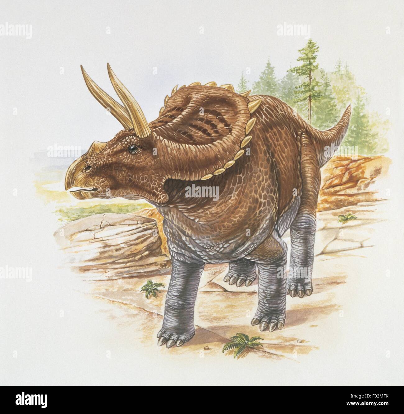 Palaeozoology - Kreidezeit - Dinosaurier - Arrhinoceratops (Kunstwerk von Robin Carter) Stockfoto