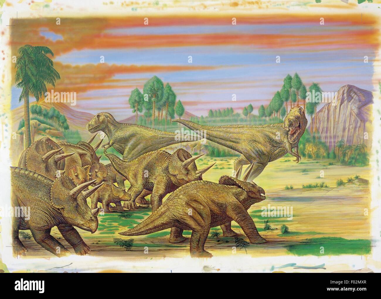 Palaeozoology - obere Kreidezeit - Dinosaurier - Triceratops - Kunstwerk Stockfoto