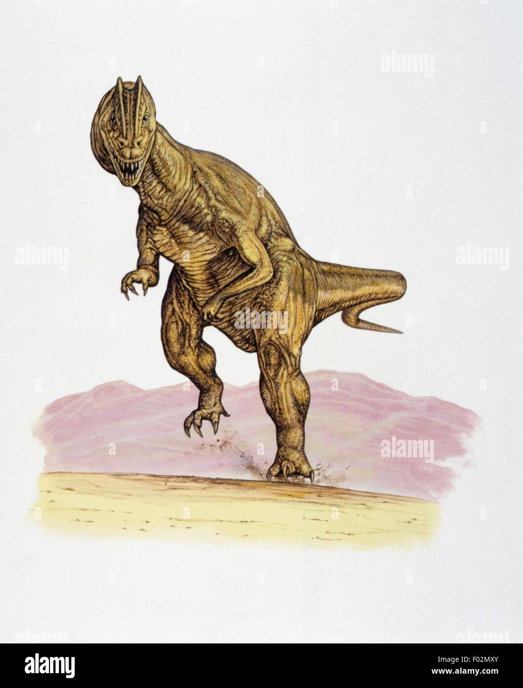 Palaeozoology - unteren Jurazeit - Dinosaurier - Dilophosaurus - Kunstwerk von Neil Lloyd Stockfoto