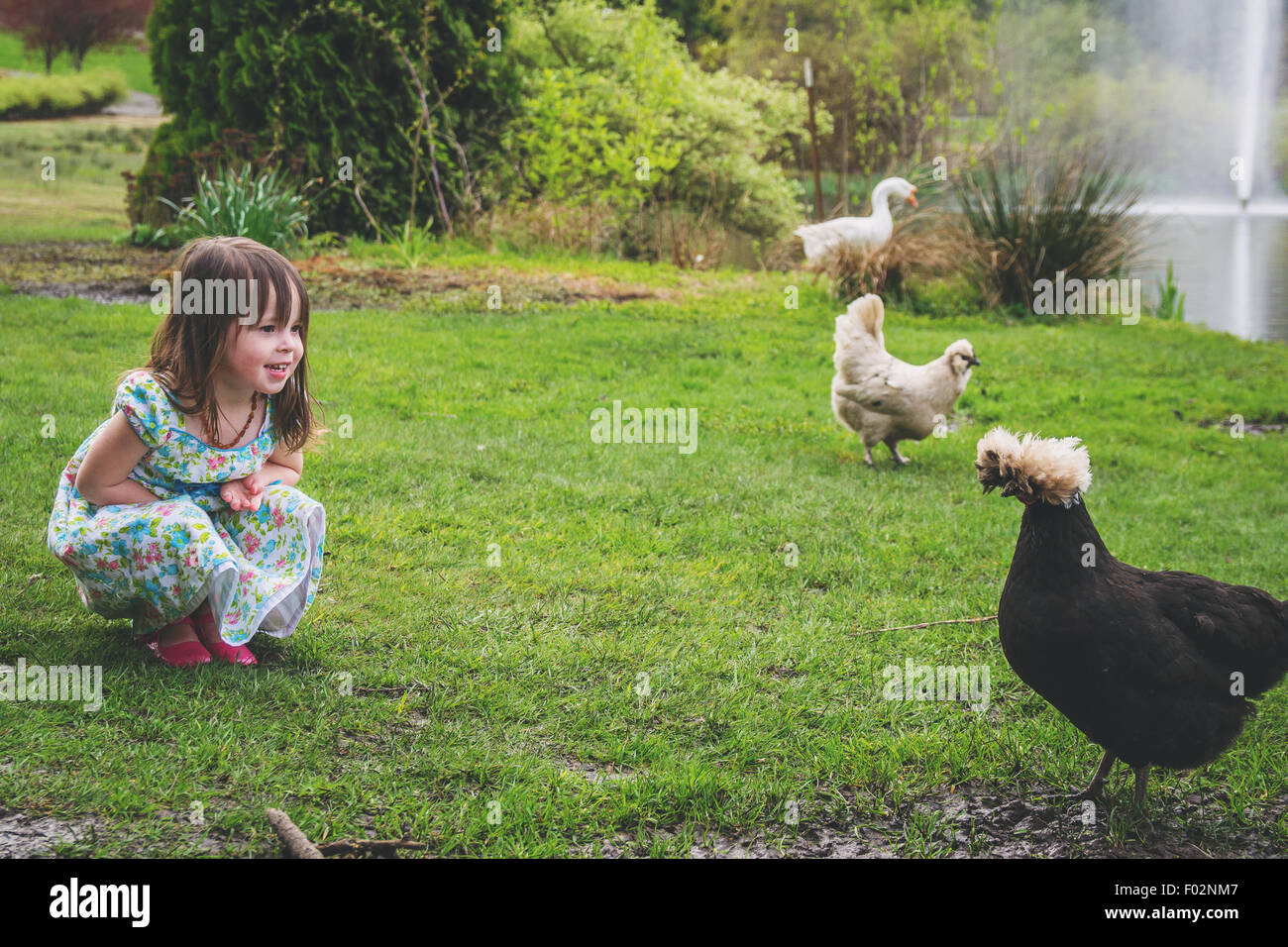 Mädchen mit zwei Hühnern und eine Gans Stockfoto