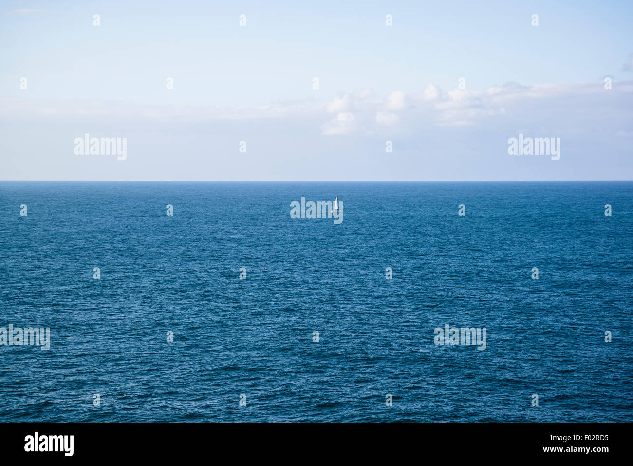 Segelboot, Watson Bay, The Gap Bluff, Sydney, Australien Stockfoto