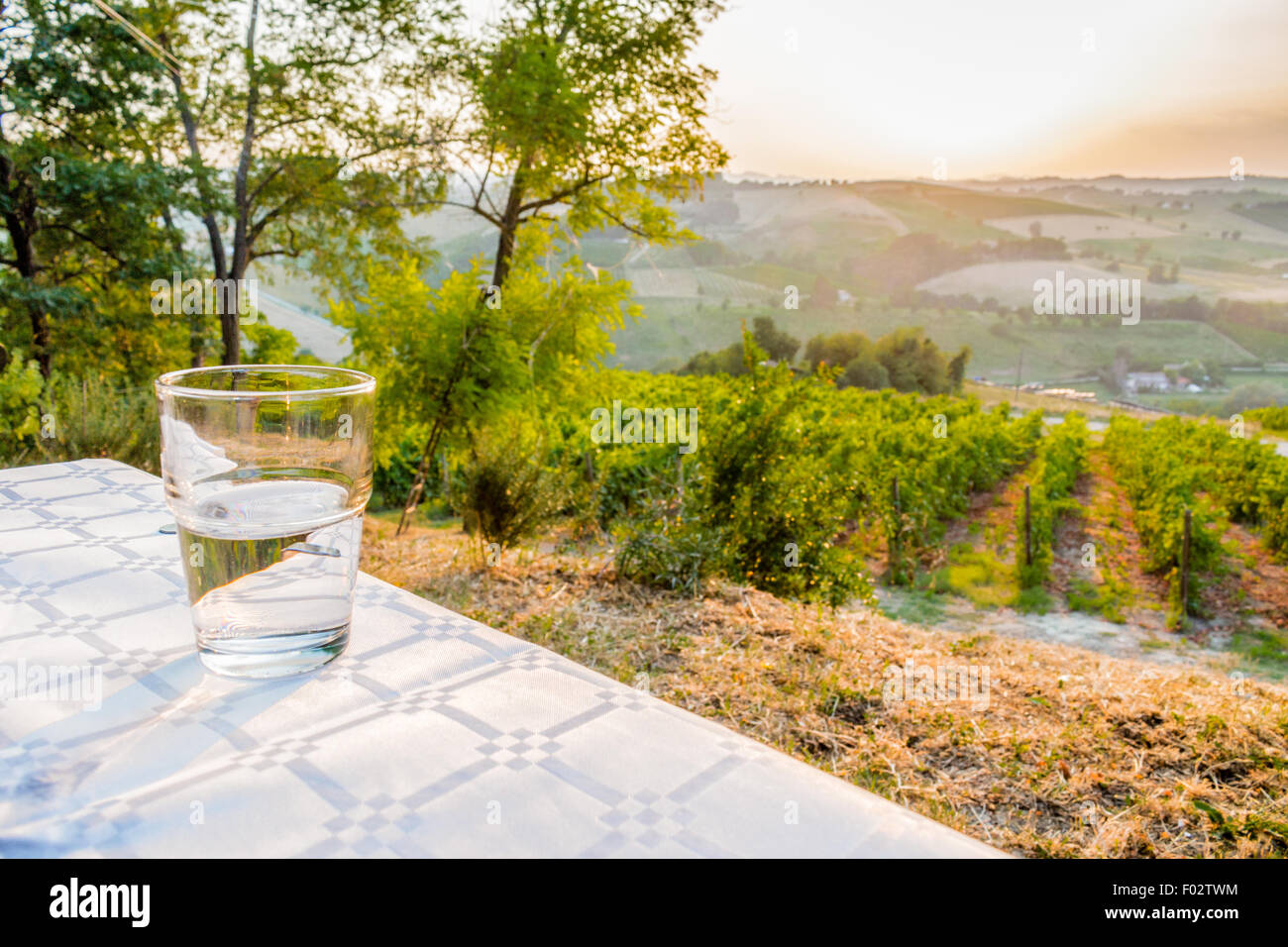 Abendessen auf dem Lande - Glas klar, frisch und süß Wasser auf einem Tisch mit Weinbergen, Ackerland und grüne Vegetation der Landschaft im Hintergrund Stockfoto