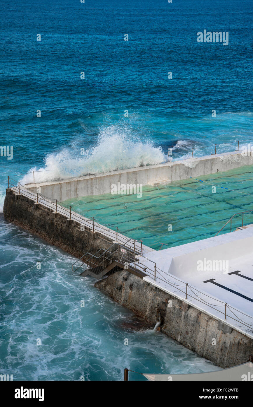 Pool neben dem Ozean, Bondi Icebergs, Sydney, Australien Stockfoto