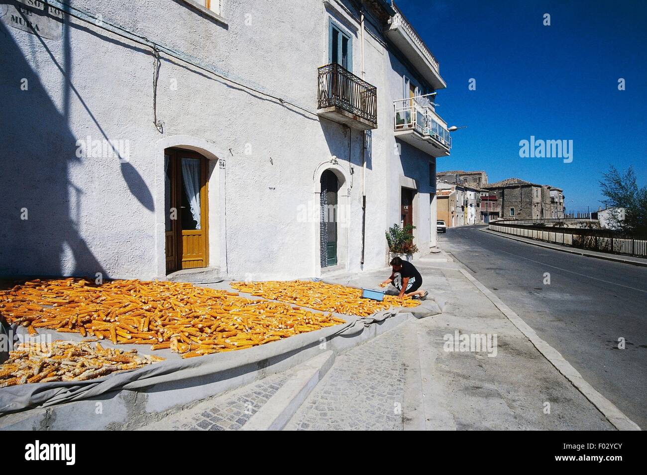 Trocknen von Mais vor Häusern, Castelluccio Valmaggiore, Apulien, Italien. Stockfoto