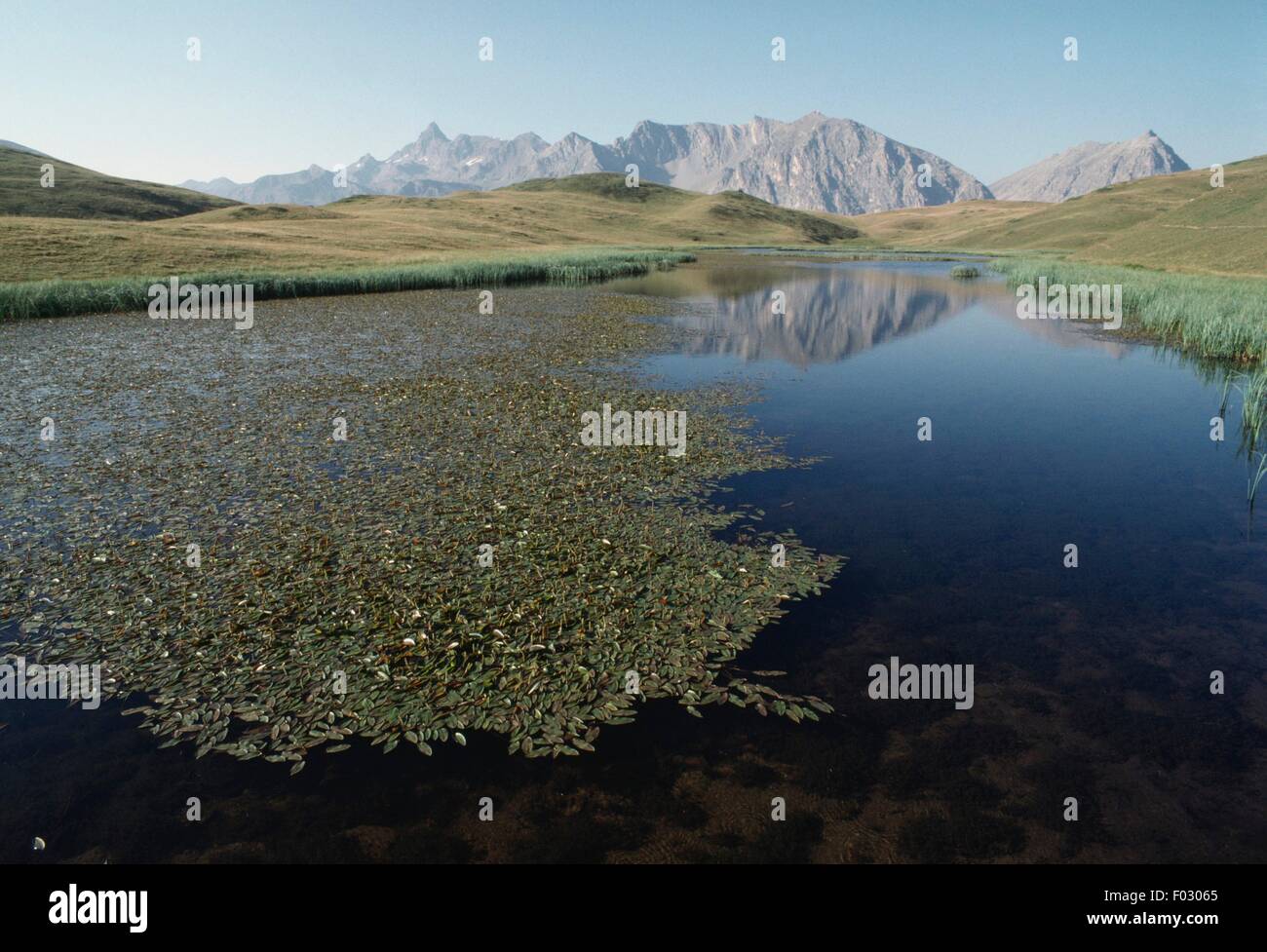 Lago Nero (Schwarzer See), Poggio Col Bousson, Valle di Susa, Piemont, Italien. Stockfoto