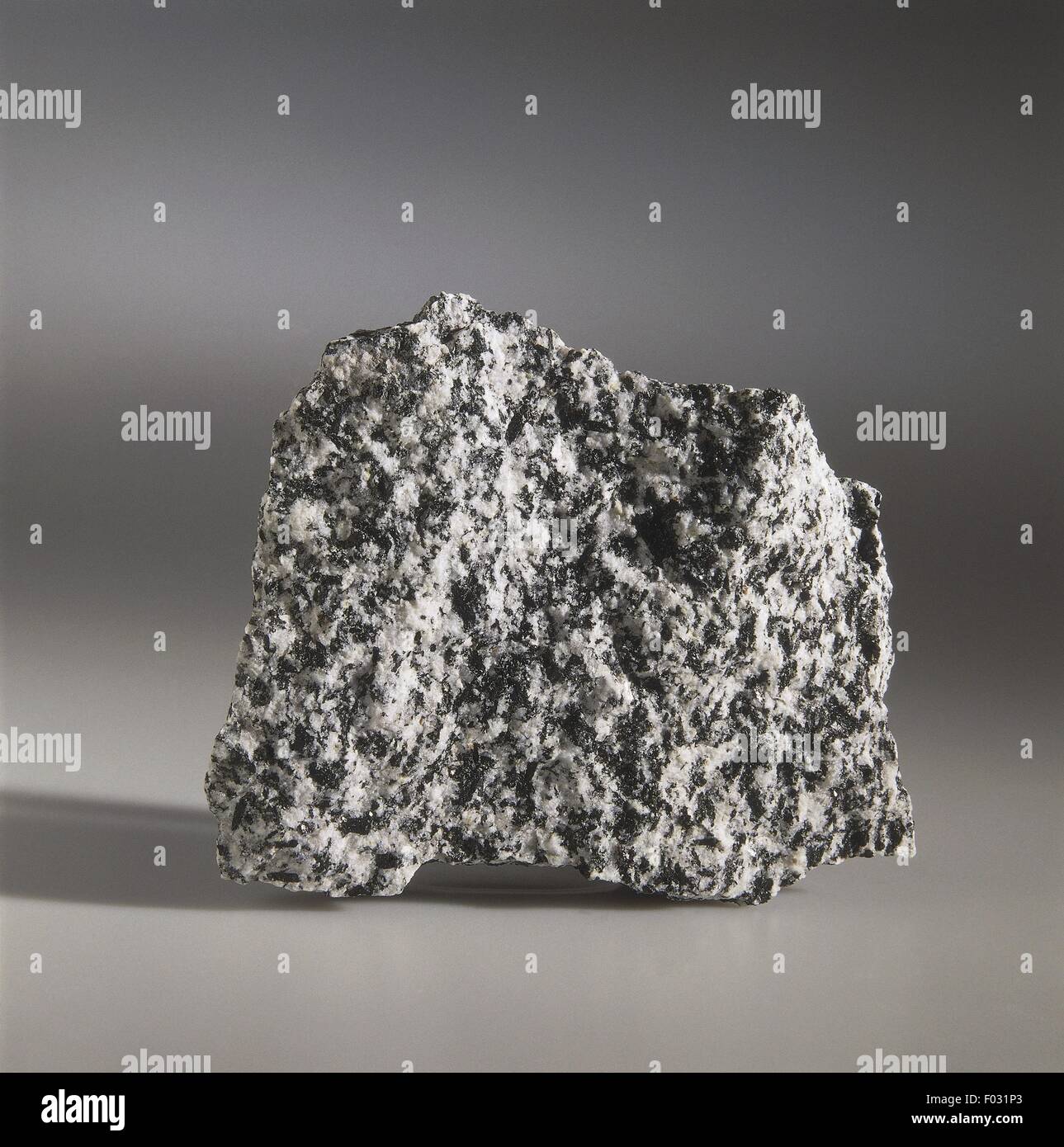 Mineralien und Gesteine - Tonalit Stockfoto