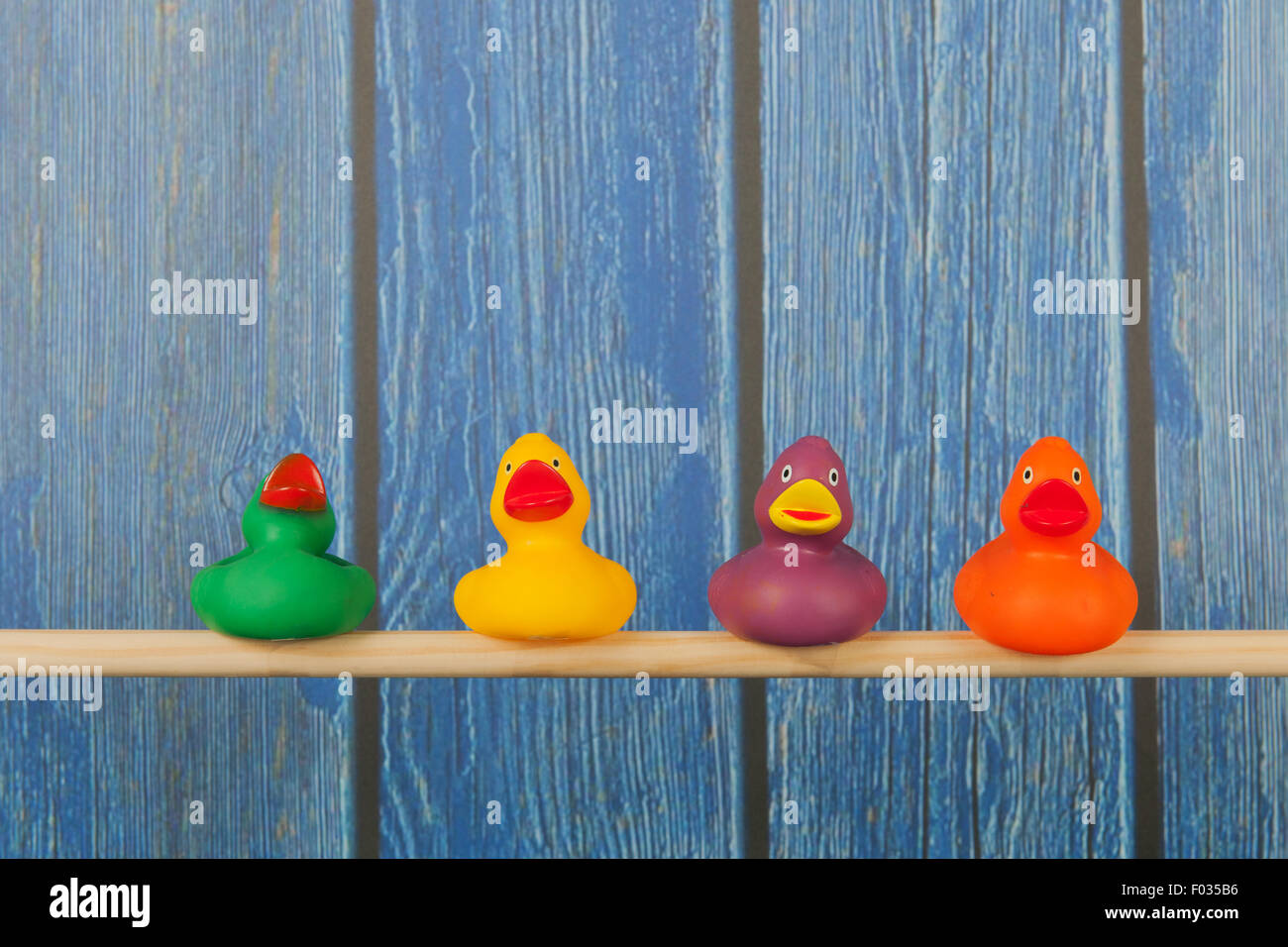 Witzige Bad Enten auf Stick im Käfig Stockfoto