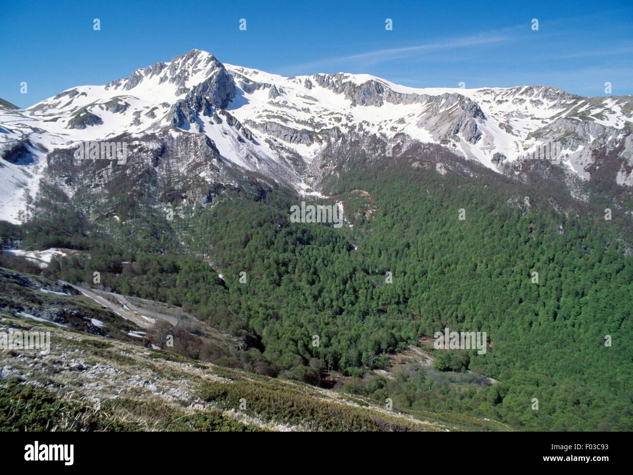 Monte Terminillo und dem Vallonina Tal, Monti Reatini Abruzzese Apennin, Latium, Italien. Stockfoto