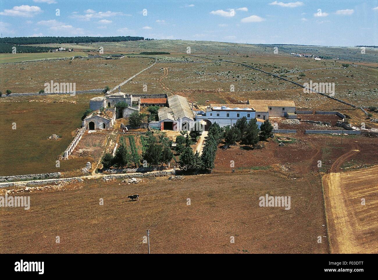 Luftaufnahme von einer Masseria (befestigte Gutshof) in der Provinz Bari - Apulien, Italien Stockfoto