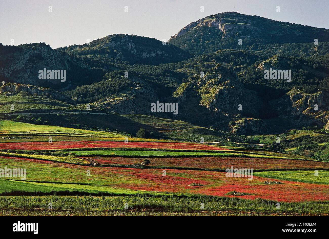 Landwirtschaftlichen Landschaft am Fuße des Mount Genuardo, Sicani Berge Regionalpark, Sizilien, Italien. Stockfoto