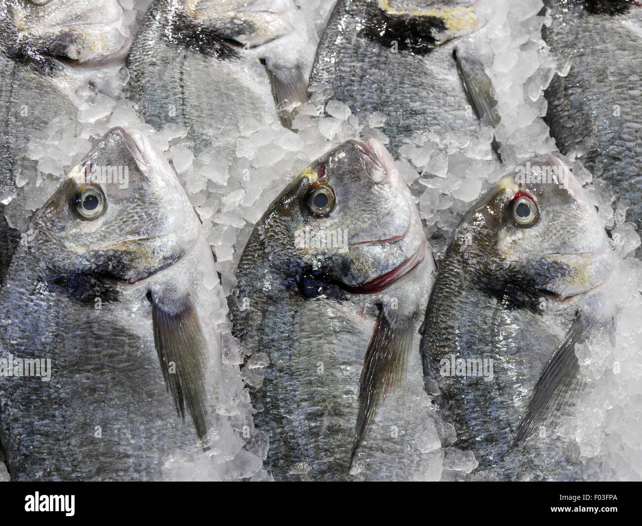 Nahaufnahme von frischem Fisch für den Verkauf auf Stall im lokalen Markt Stockfoto