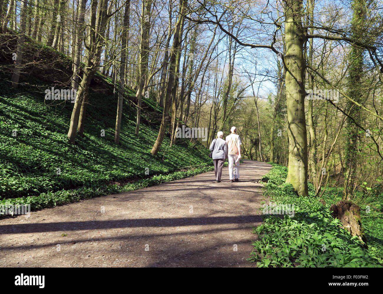 Älteres Paar zu Fuß durch Wald auf sonnigen Nachmittag Stockfoto