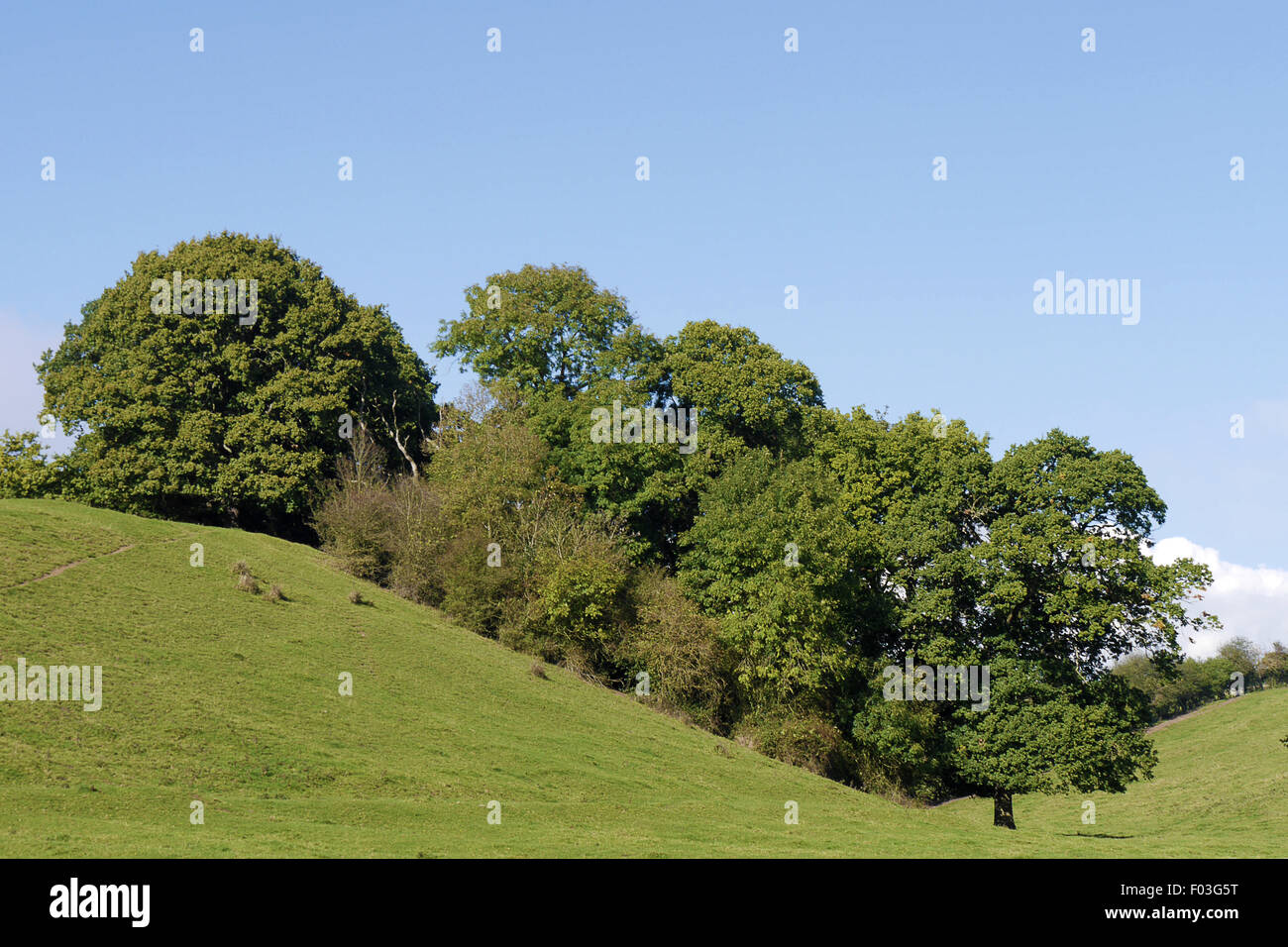 Malerische Landschaft an einem sonnigen warmen Tag mit blauem Himmel und sanften Hügeln. Stockfoto