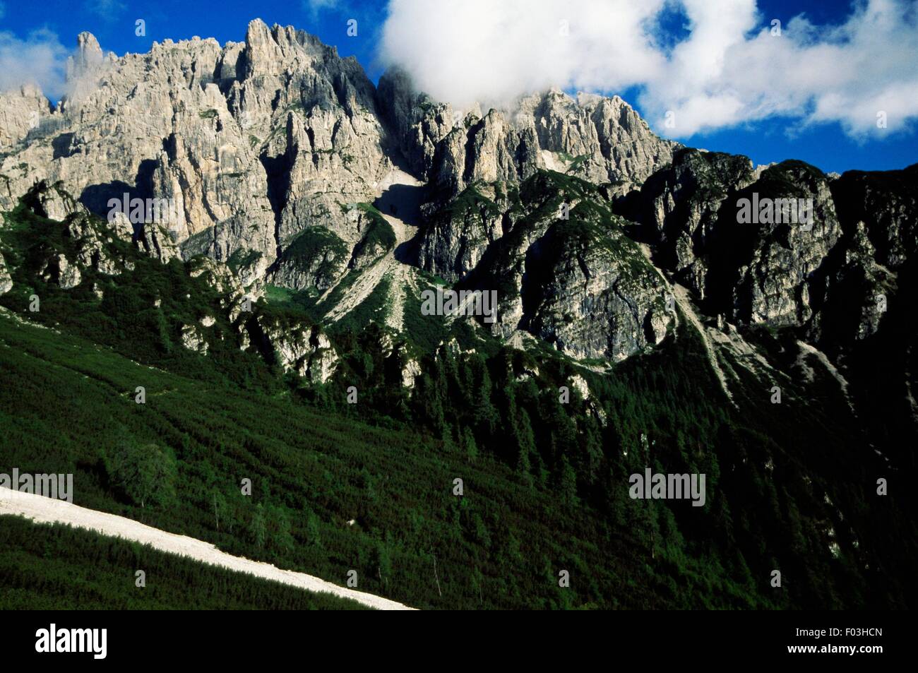 Blick von der Weg führt zur Forcella Urtisei, regionale Naturpark der Friauler Dolomiten, Friaul-Julisch Venetien, Italien. Stockfoto