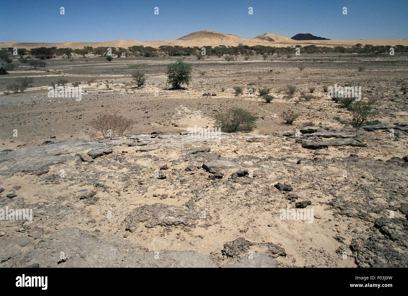 Jemen, Rub'al Khali Wüste, The Khali Wüste Stockfoto