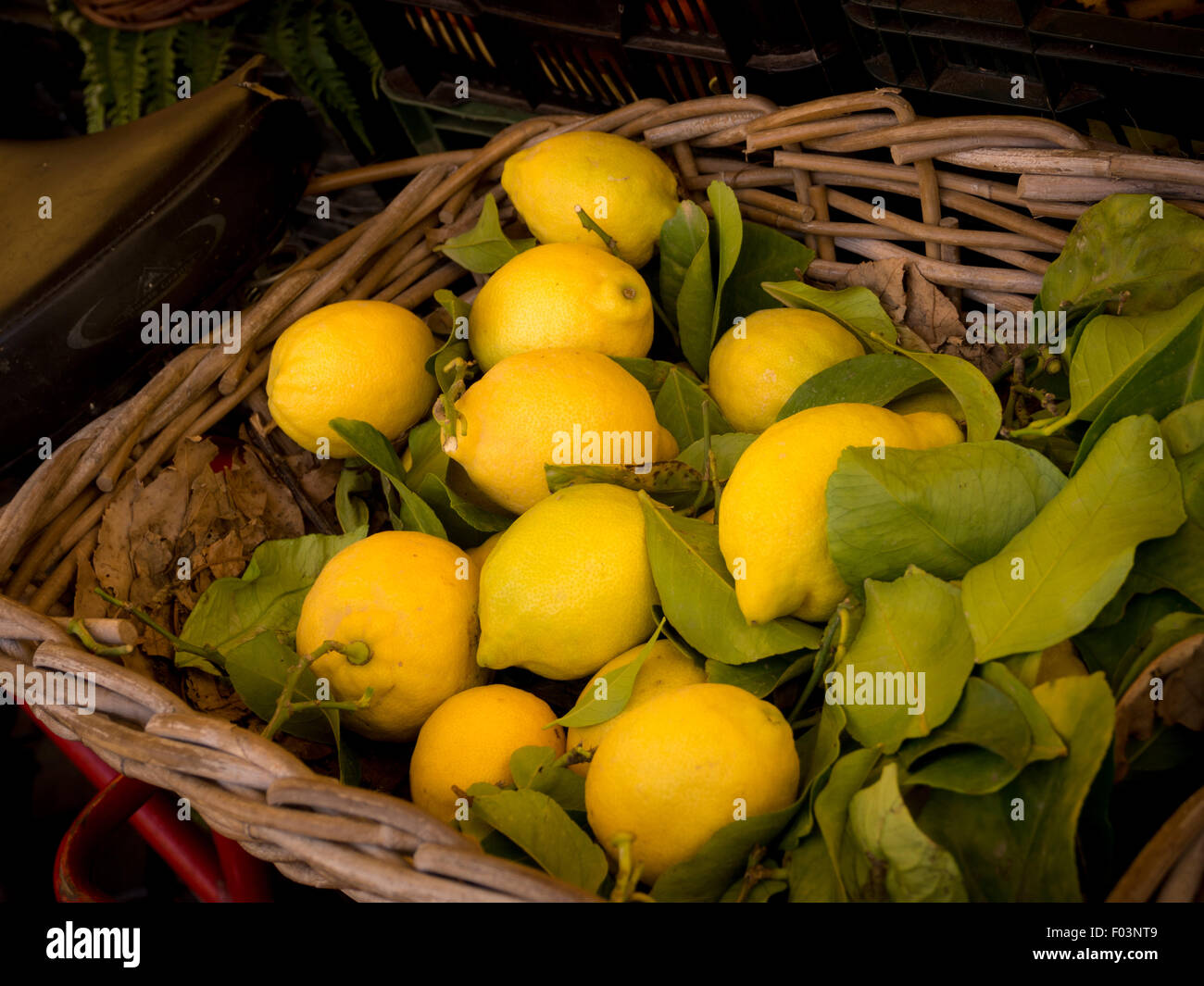 Korb mit Zitronen. Campo de' Fiori Outdoor-Lebensmittelmarkt in Rom, Italien. Stockfoto