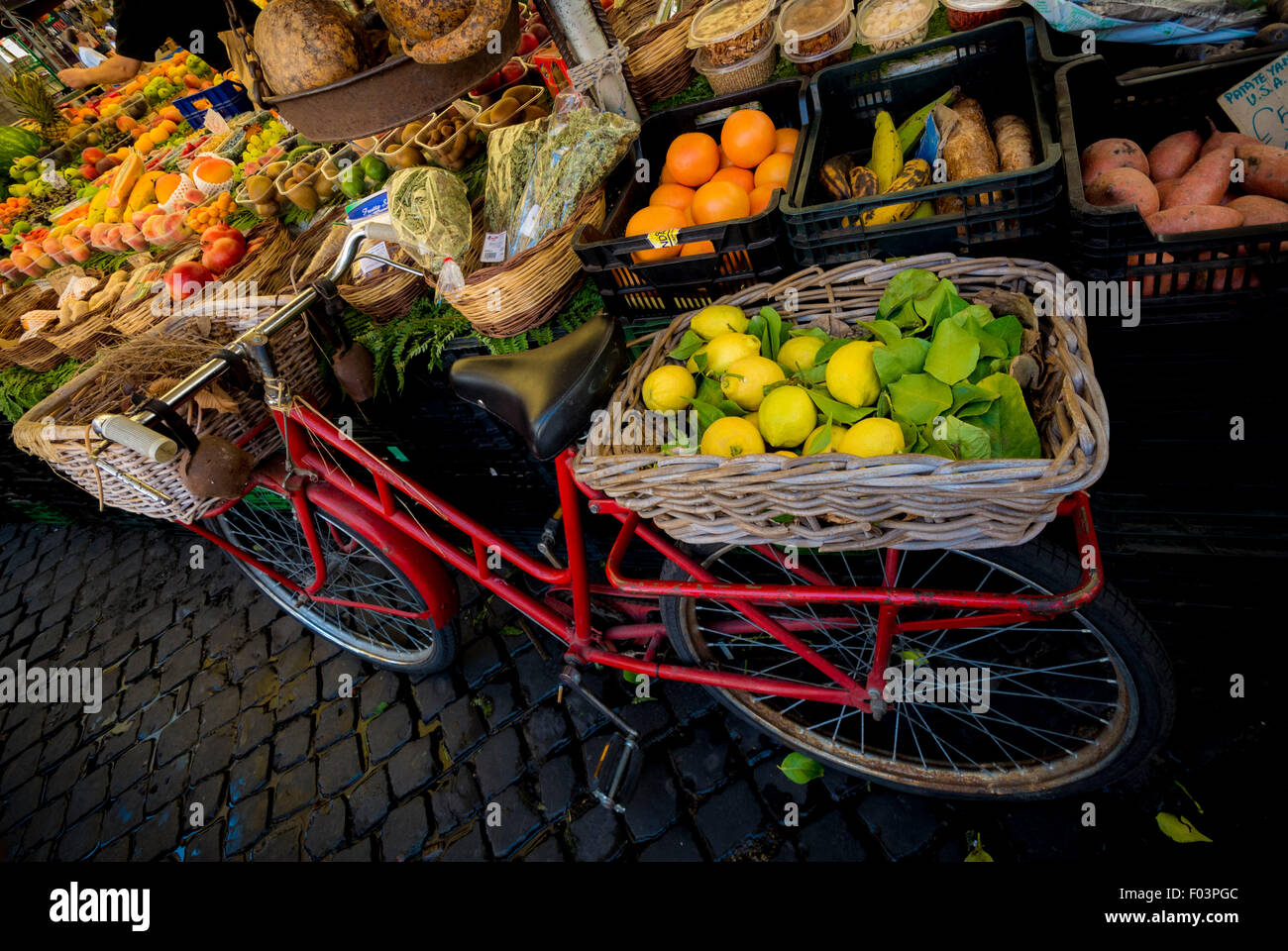 Korb mit Zitronen auf der Rückseite eines Fahrrades am Campo de' Fiori Outdoor-Lebensmittelmarkt in Rom, Italien. Stockfoto