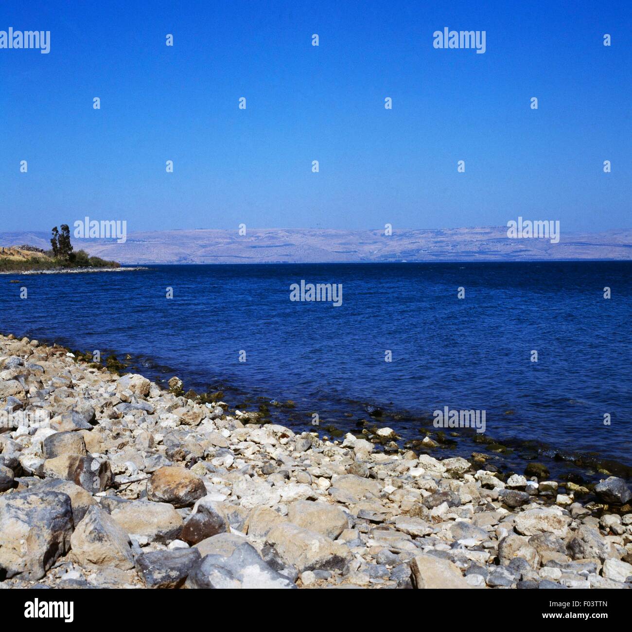 Blick Auf Den See Genezareth Galilaa Israel See Genezareth See Tiberias Oder Auch Kinneret Stockfotografie Alamy