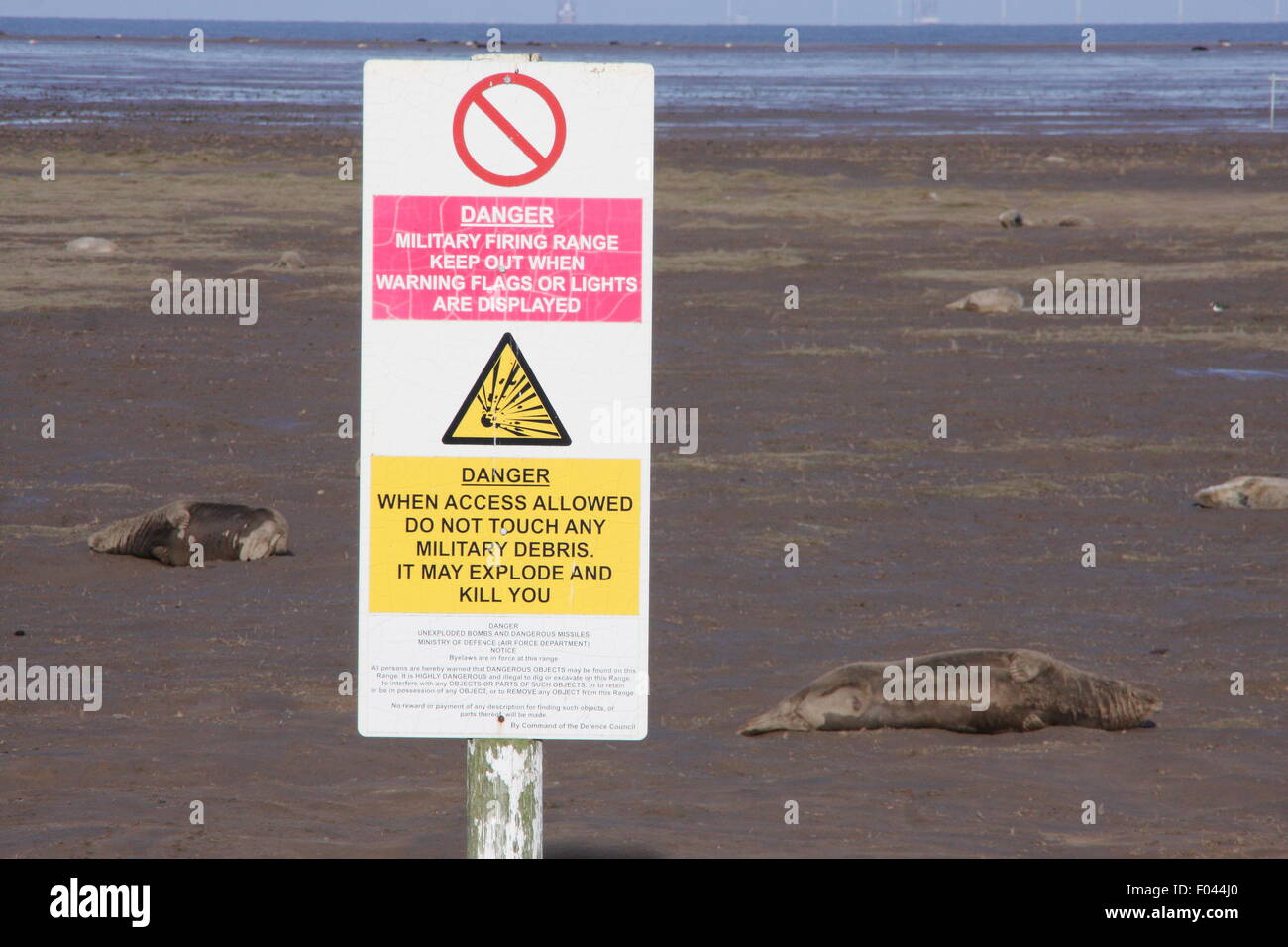 Schilder am Wattenmeer bei Donna Nook Natur Reservat Warnung öffentliche, Gefahren des militärischen schießen und Schutt, UK zu sein Stockfoto