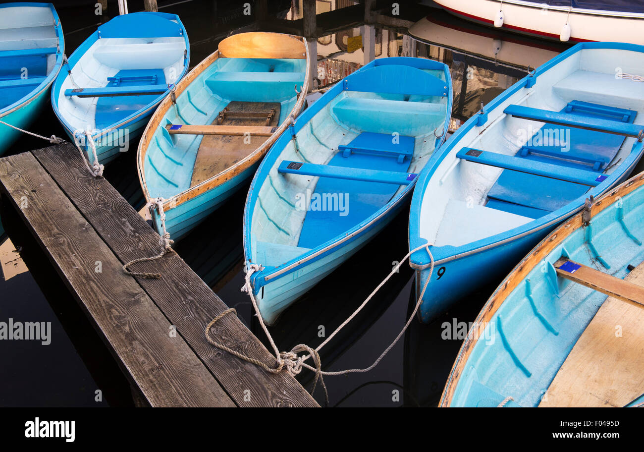 Blau gemalte hölzerne Ruderboote vertäut am Henley on Thames, Oxfordshire, England Stockfoto