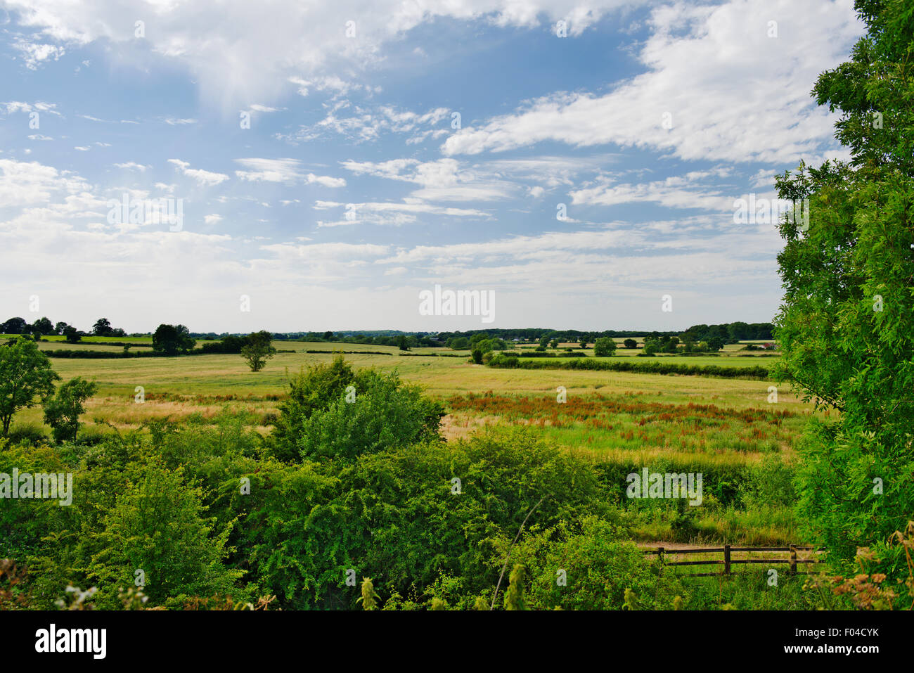 Staffordshire-Felder und die Landschaft in der Nähe von Tamworth Stockfoto