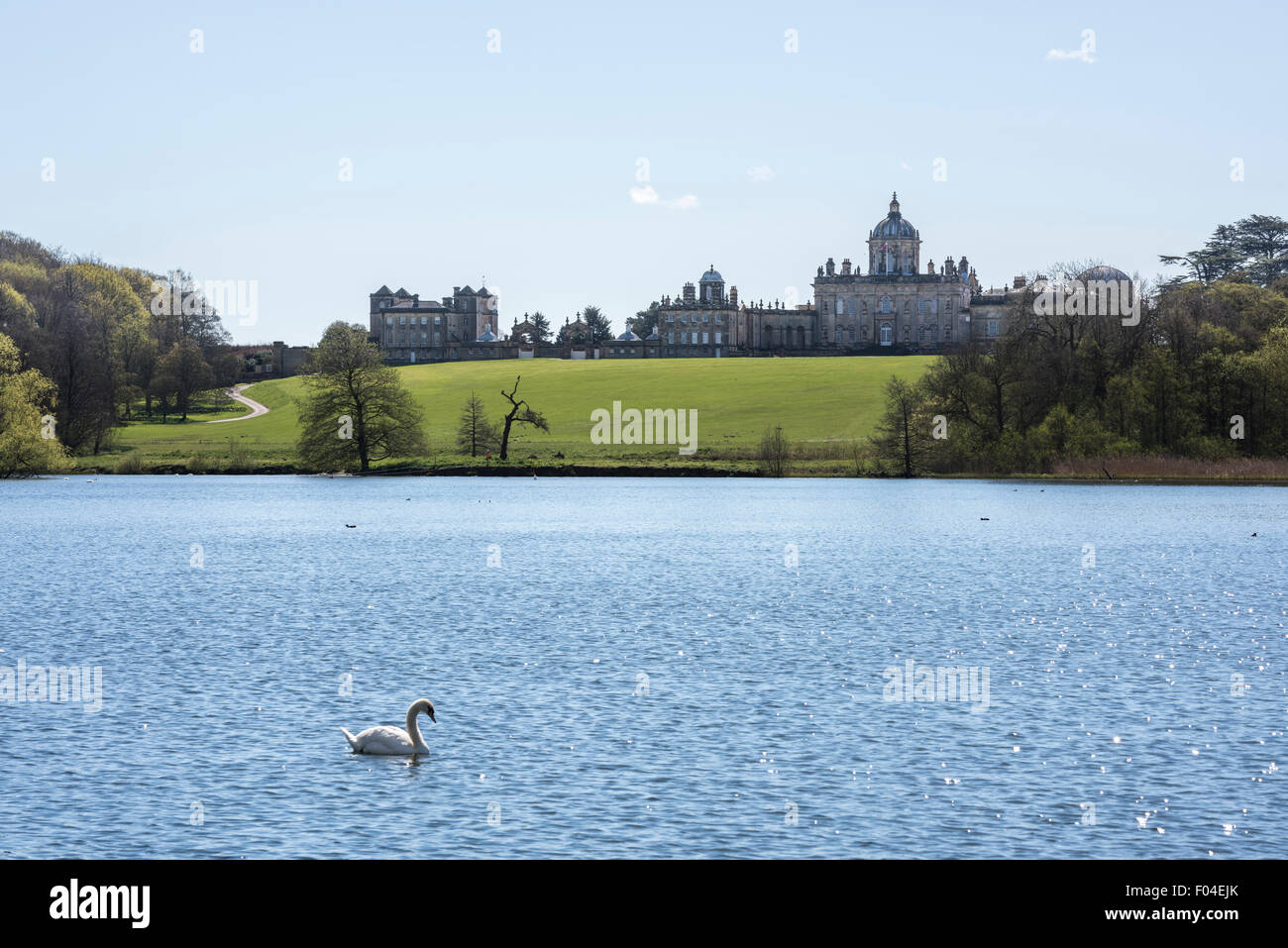 Schwan auf dem großen See im Castle Howard, North Yorkshire. Stockfoto