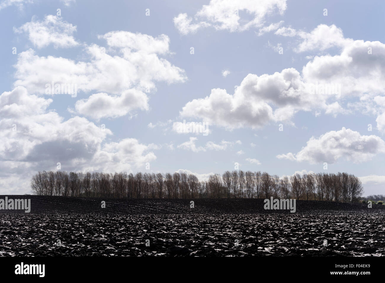 Gepflügtes Feld in der Nähe von Ripon, Nordyorkshire. Stockfoto