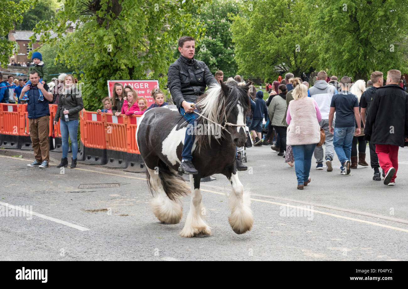 Appleby Horse fair, Appleby in Westmorland, Cumbria. Stockfoto