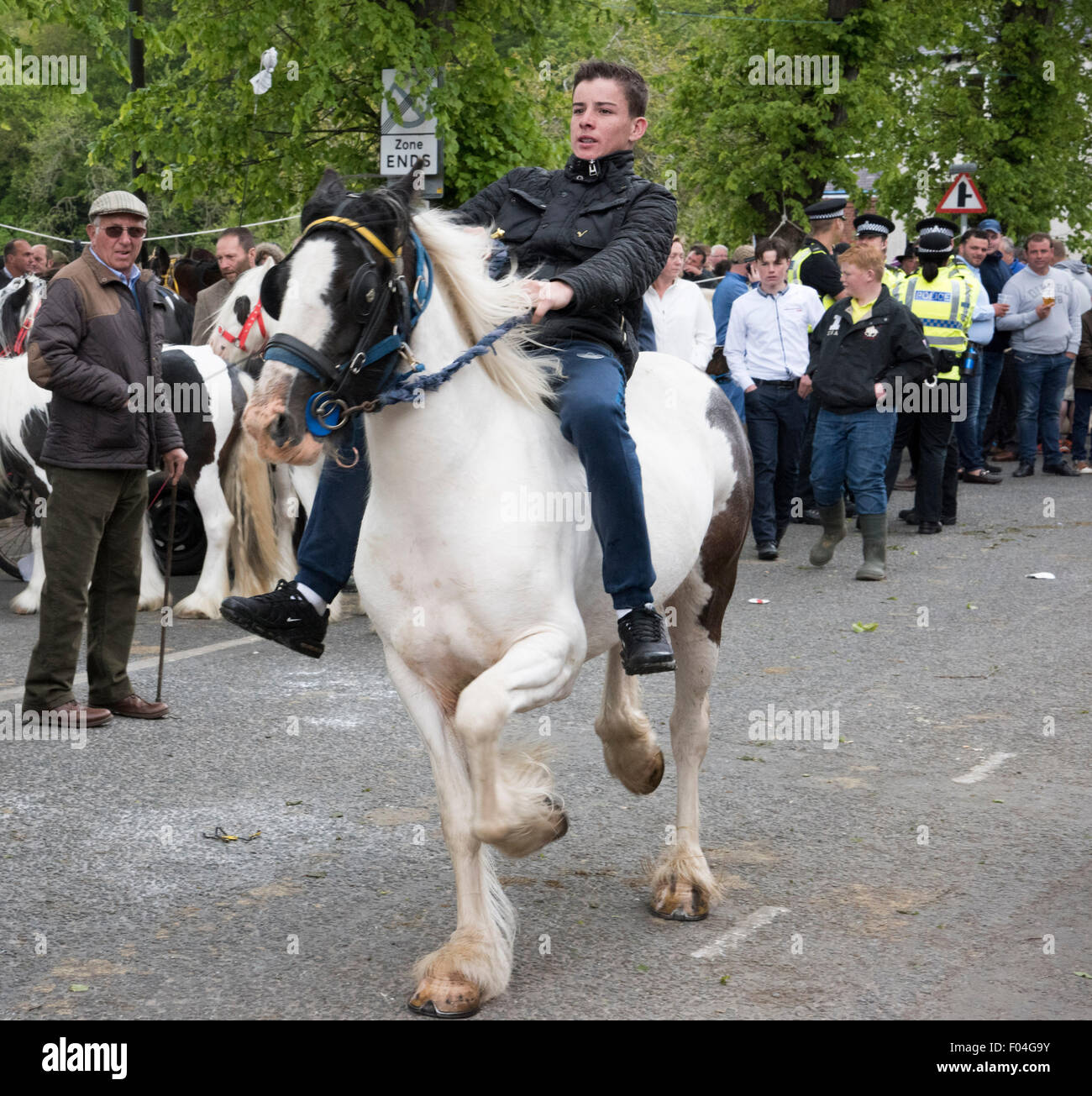 Appleby Horse fair, Appleby in Westmorland, Cumbria. Stockfoto