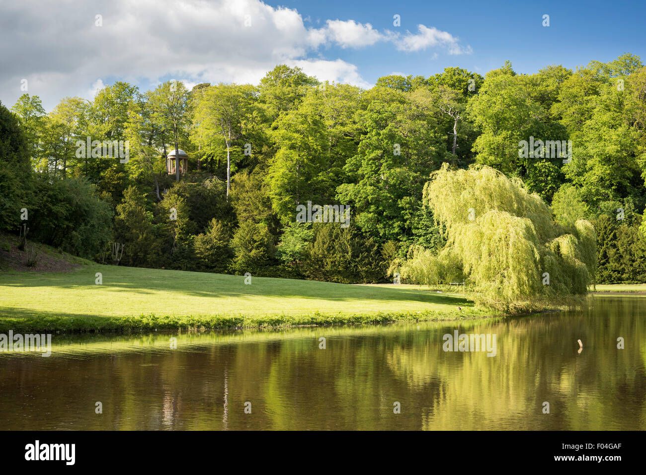 Flusses Skell bei Fountains Abbey, North Yorkshire. Stockfoto