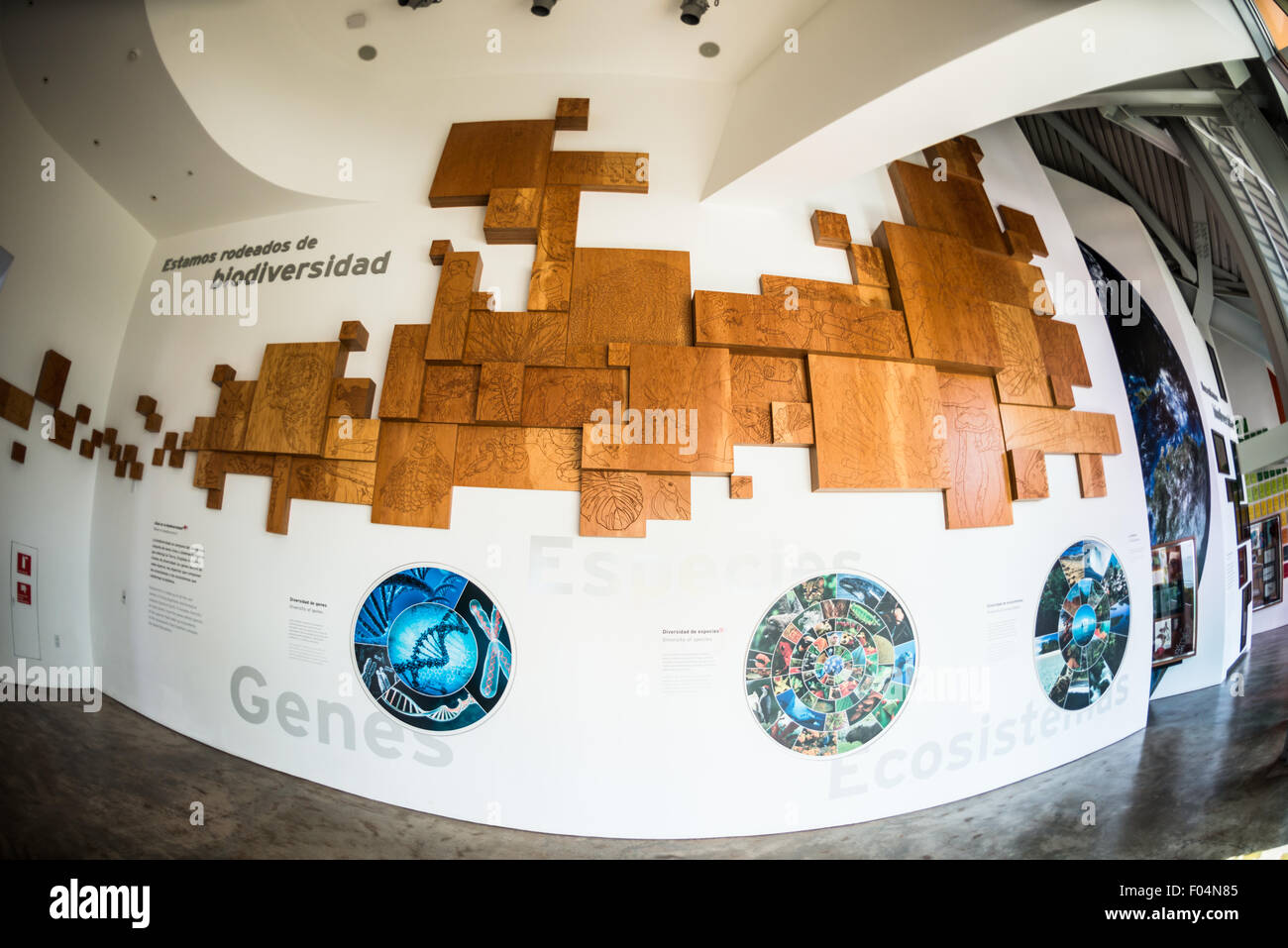 Biomuseo Biodiversität Ausstellung Panama-Stadt Panama // PANAMA-STADT PANAMA — das Biomuseo wurde im Oktober 2014 für Besucher geöffnet und befindet sich in einem markanten Gebäude, das von dem berühmten Architekten Frank Gehry entworfen wurde. Der Schwerpunkt lag auf der Artenvielfalt Panamas und der besonderen Rolle, die der Panamaische Isthmus als Landbrücke zwischen Nord- und Südamerika gespielt hat. Es liegt am Panama City's Causeway, mit Blick auf den Pazifik auf der einen Seite und den Eingang zum Panamakanal auf der anderen Seite. Stockfoto