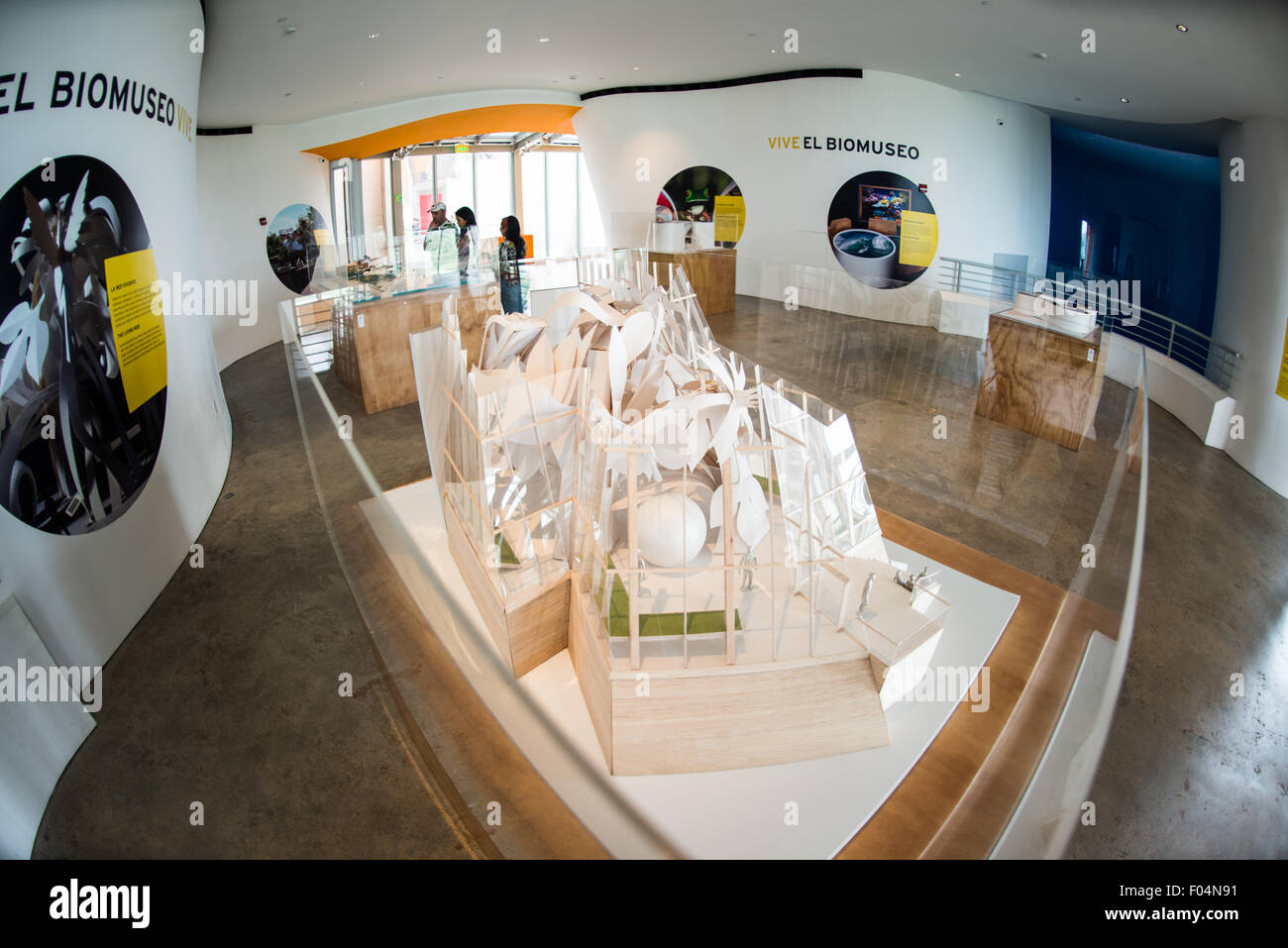 Biomuseo Zukunftspläne Ausstellung Panama-Stadt Panama // PANAMA-STADT PANAMA — eine Ausstellung über Zukunftspläne im Biomuseo in Panama-Stadt, Panama. Das Biomuseo, das vom renommierten Architekten Frank Gehry entworfen wurde, konzentriert sich auf Panamas Biodiversität und Naturgeschichte. Das 2014 eröffnete Museum verfügt über acht Galerien, die die biologische und kulturelle Bedeutung des Isthmus von Panama hervorheben. Das in der Nähe des Pazifik-Eingangs zum Panamakanal gelegene Biomuseo dient als Bildungszentrum zur Förderung von Umweltschutz und Umweltbewusstsein in der Region. Stockfoto