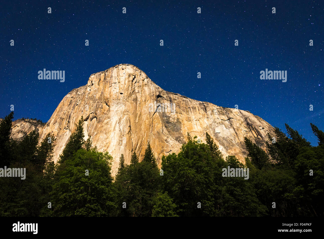 El Capitan unter einem Sternenhimmel Mondnacht (Kletterers Scheinwerfer sichtbar), Yosemite-Nationalpark, Kalifornien USA Stockfoto