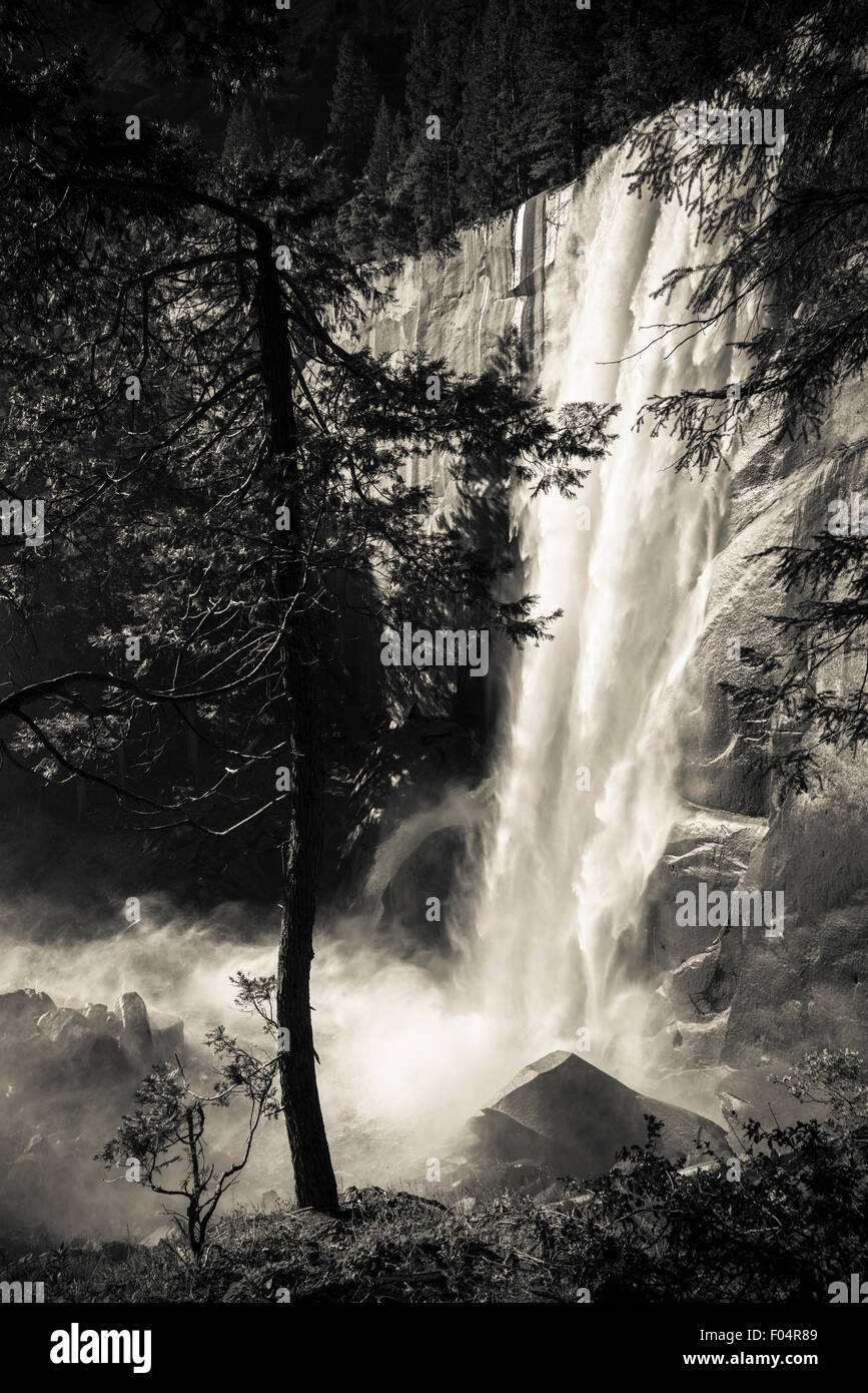 Vernal Fall, Yosemite-Nationalpark, Kalifornien USA Stockfoto