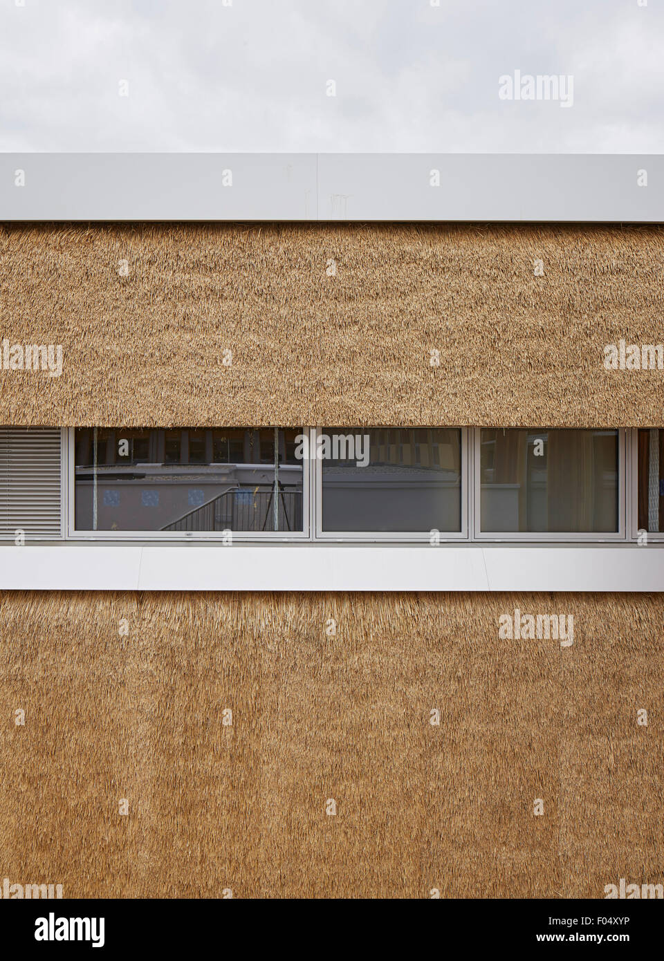 Detail der Rasenfilz Panel Fassade mit Fenstern. Das Enterprise Centre UEA, Norwich, Vereinigtes Königreich. Architekt: Architype Limited, 20 Stockfoto