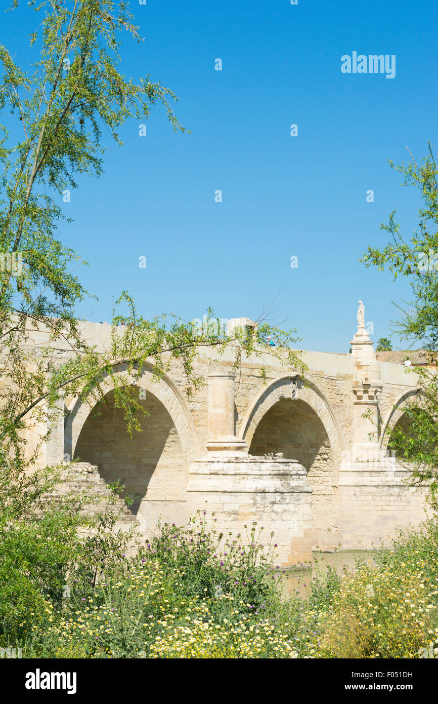 Die Puente Romano de Córdoba oder die römische Brücke über den Río oder Fluss Guadalquivir in Córdoba oder Cordoba in Spanien Stockfoto