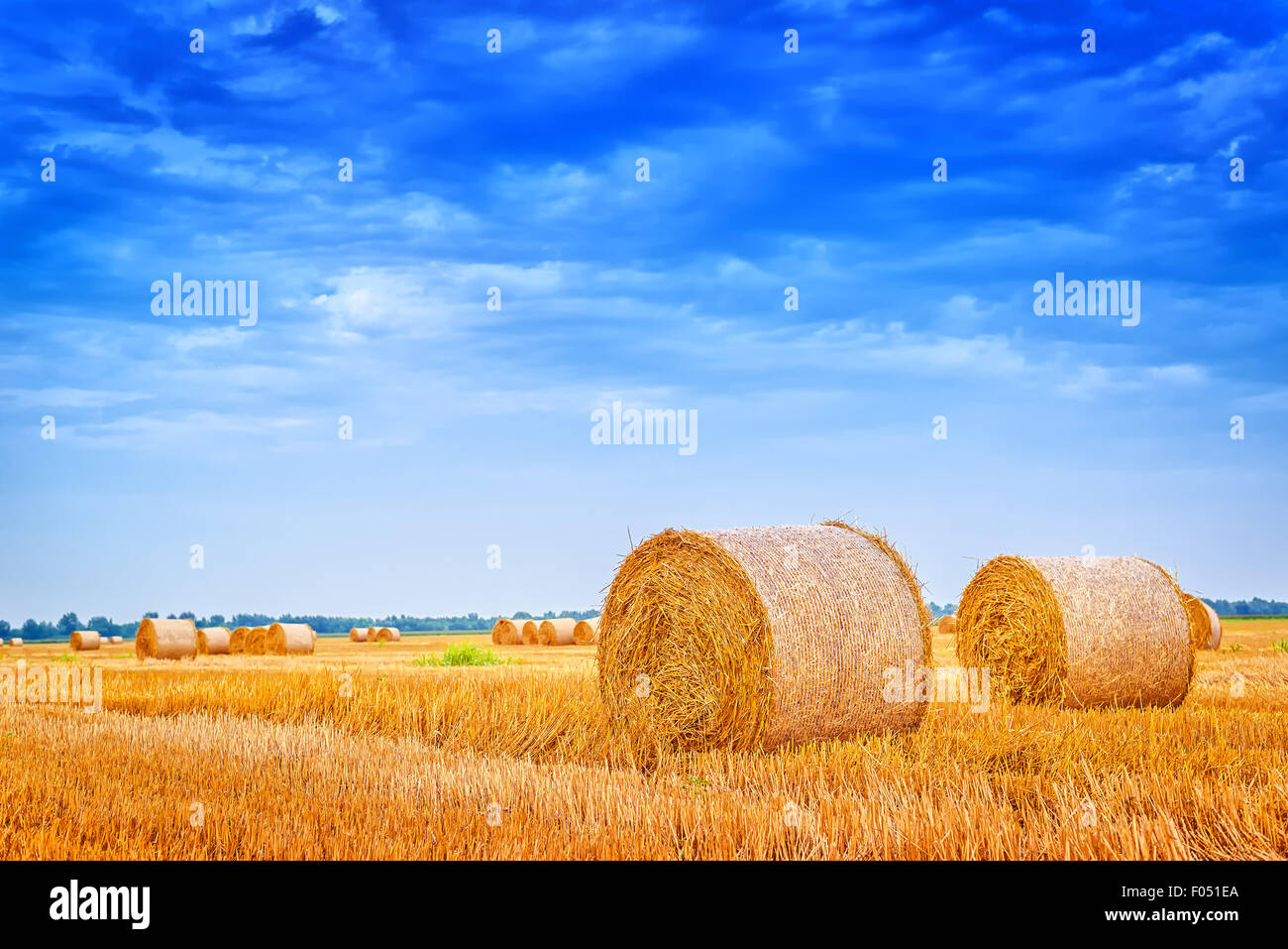 Heuballen rollt in kultivierten nach der Weizenernte, bewölkten Sommertag, Vintage retro-getönten Feldbild Stockfoto