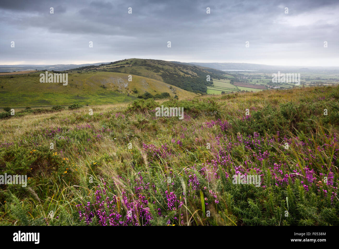 Blick vom Gauner Peak. Mendip Hills. Somerset. VEREINIGTES KÖNIGREICH. Stockfoto