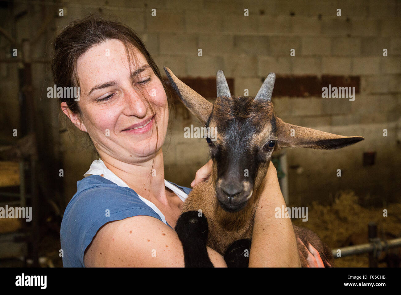 Besucher zu Macon in Burgund Regioni Canvisit einer Ziegenfarm, wo Käse und Weine vorgestellt werden. Stockfoto