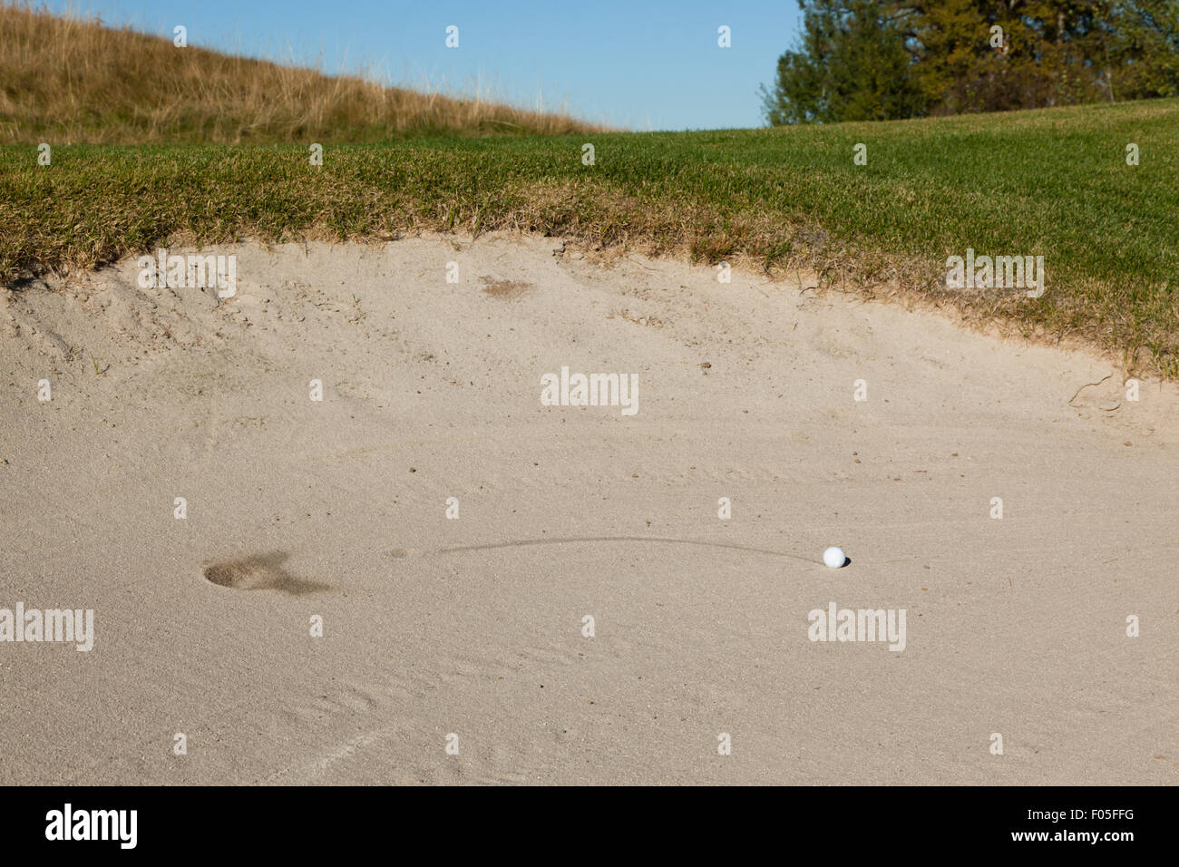 Eine weiße Golfball, der landete mit einem Plopp und dann rollte eine Spur in einem Sandbunker auf einem Golfplatz. Stockfoto