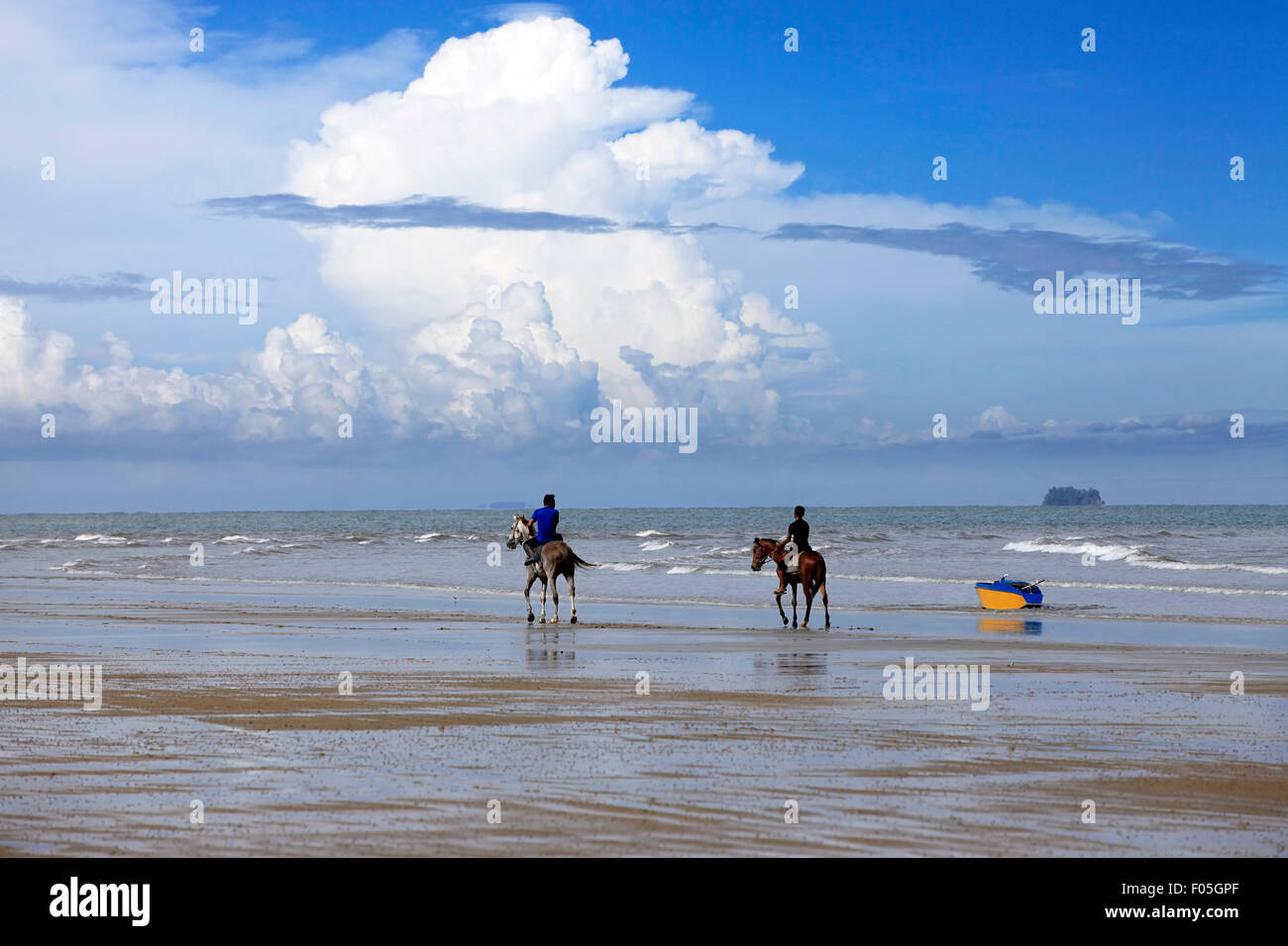 Kota Kinabalu, Malaysia - Jenuary 07, 2015: Ein Pferd im Galopp am Strand Borneo in Malaysia. Die Strände, begrenzt durch die Sanddüne Stockfoto